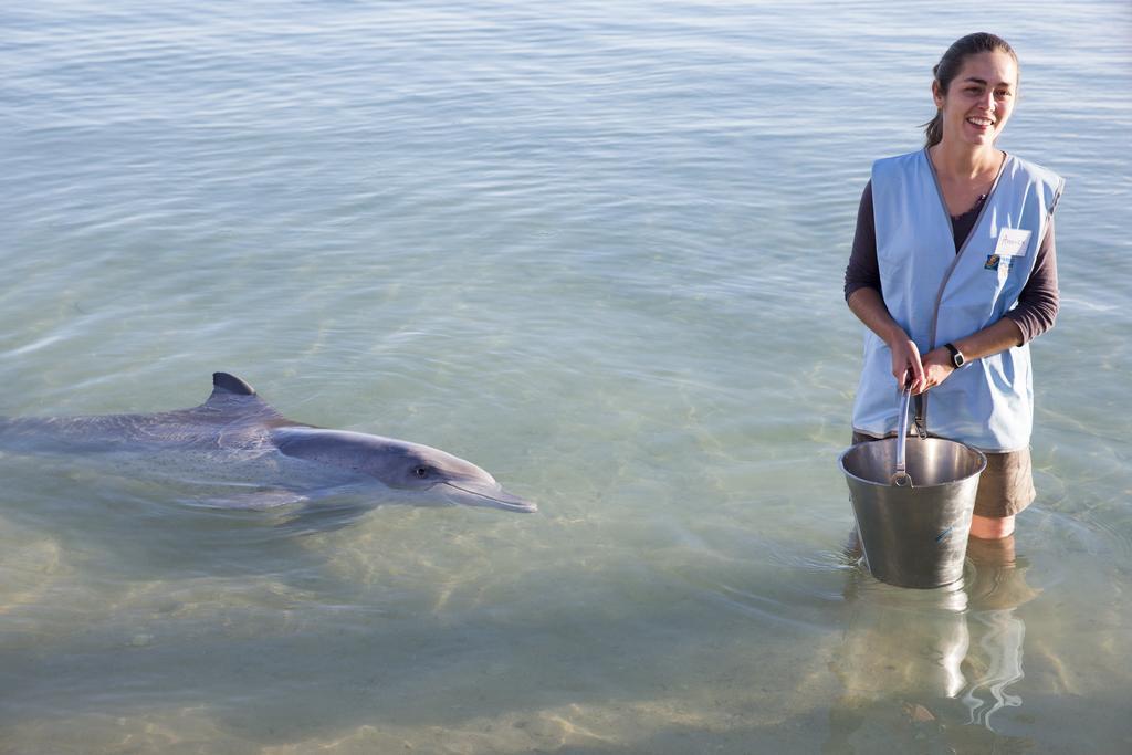 Rac Monkey Mia Dolphin Resort Екстериор снимка